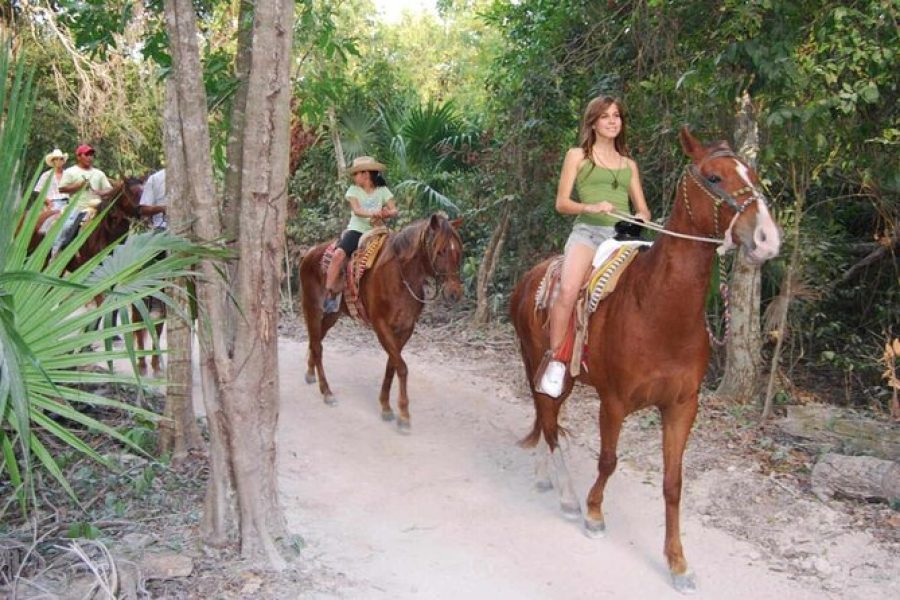 Tulum Jungle Adventure: Horseback riding and Cenote Tour