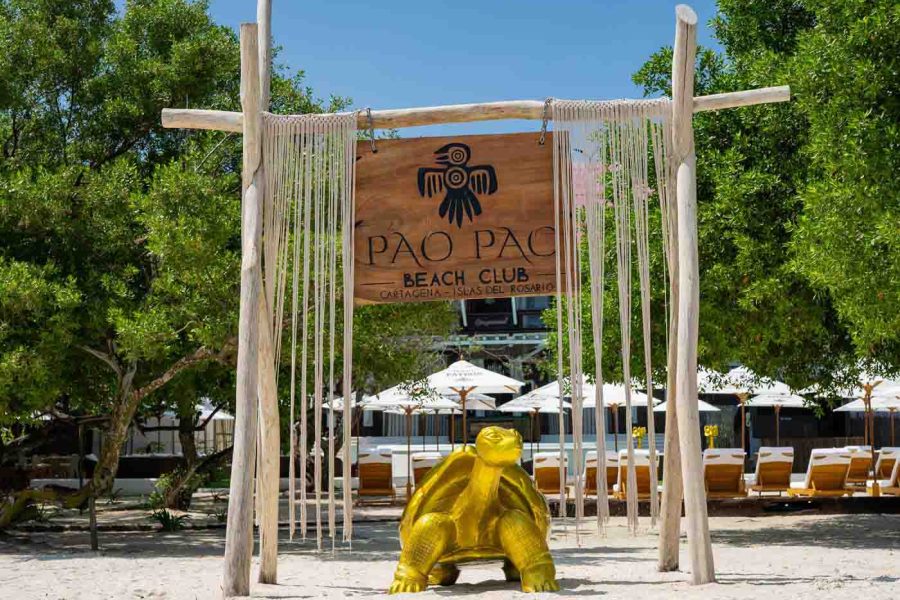 Pao Pao Beach Club Full Day Experience – Includes Lunch, Drink, and Hotel Pickup & Drop-off