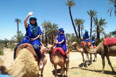Marrakech Oasis Palmeraie Camel Ride: Explore Desert Bliss
