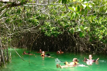 Muyil Forest & Floating Tour from Tulum, Mexico