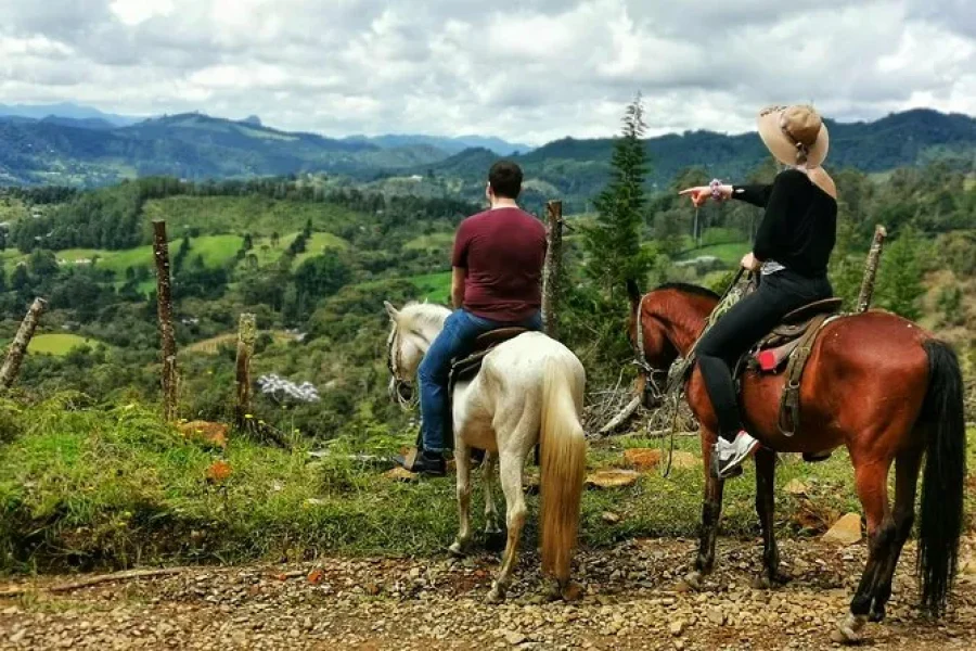 Horseback Riding Tour in Medellín, Colombia – Includes Snacks, Hotel Pickup & Drop-off