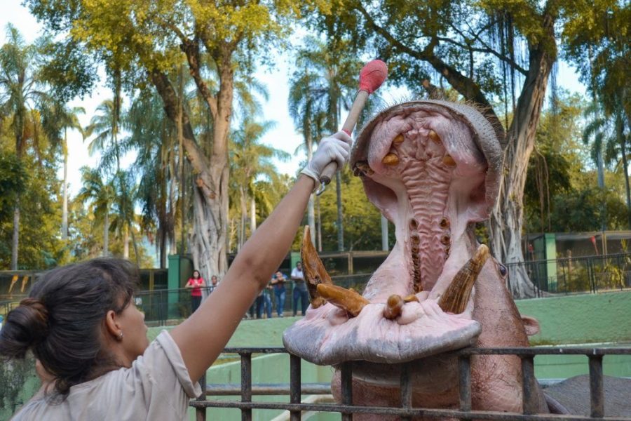 BioParque Tour in Rio de Janeiro, Brazil