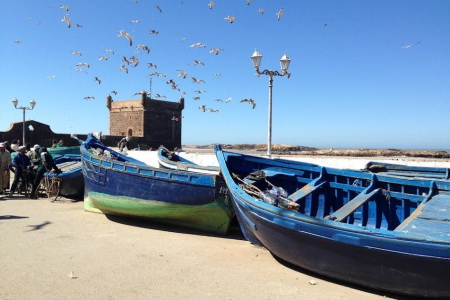 Full Day Tour to Essaouira, Beach and Argan Forest from Marrakech, Morroco