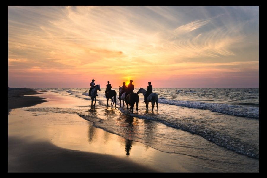 Horse Riding Tour in Mykonos, Greece